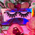𝒫𝒾𝓃𝓀 𝒱𝑒𝓁𝓋𝑒𝓉 𝒩𝑜𝒾𝓇