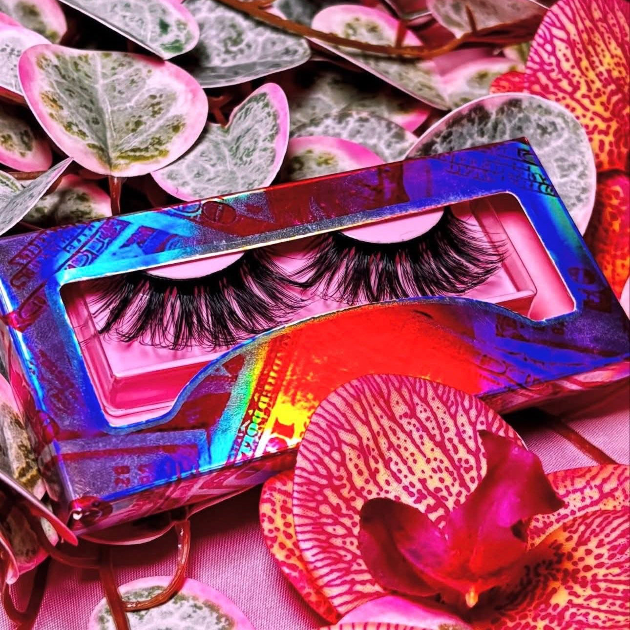 𝒮𝒾𝓁𝓀 𝒪𝓇𝒸𝒽𝒾𝒹 𝒟𝓇𝑒𝒶𝓂